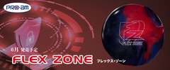 FLEX ZONE